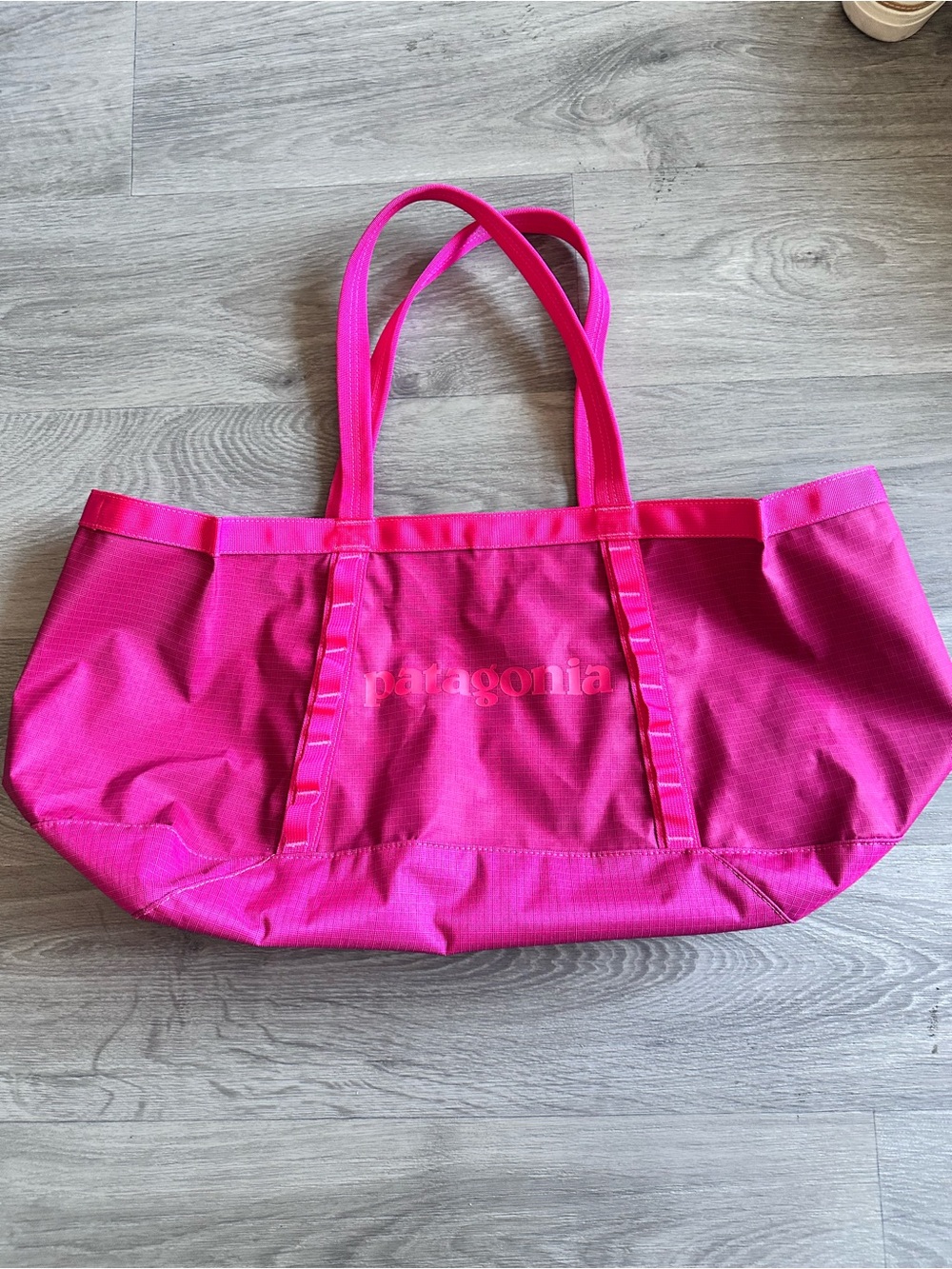 Patagonia 25L Tote